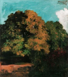 Kastanienbäume in Nagybanya